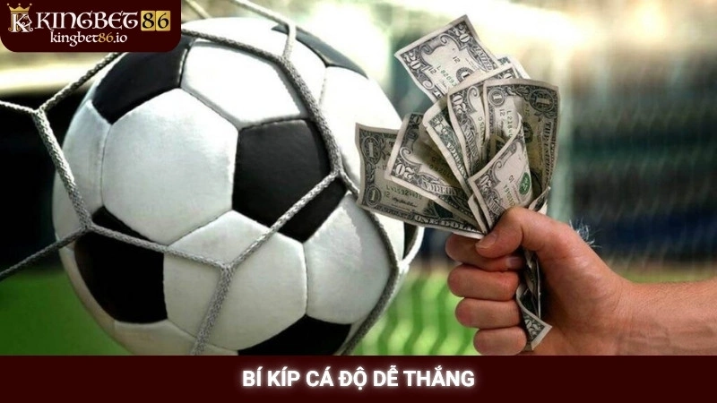 Cá cược bóng đá Kingbet86 - Kinh nghiệm soi kèo chuẩn nhất 3 Bí kíp cá độ dễ thắng