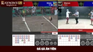 Đá gà ăn tiền Kingbet86