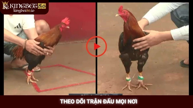 Theo dõi trận đấu mọi nơi