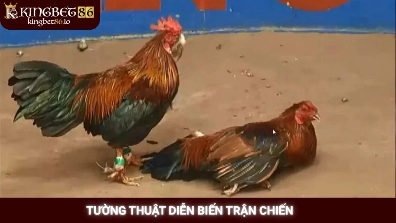 Tường thuật diễn biến trận chiến